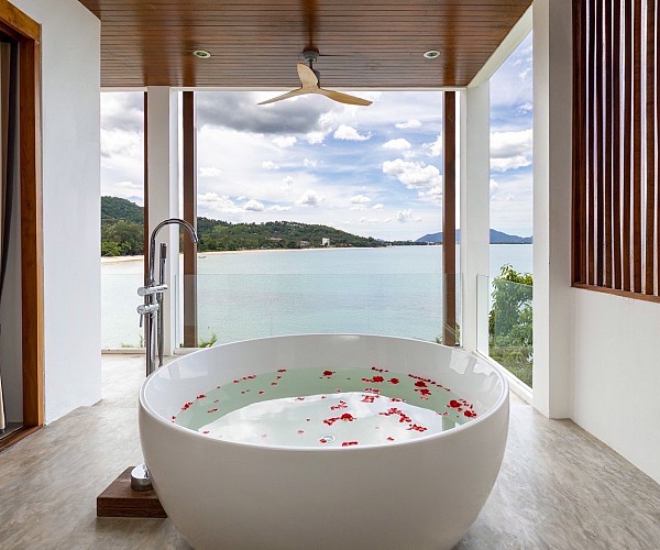 Suite Room