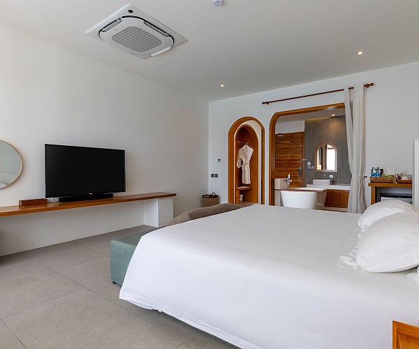 Deluxe Pool Access Room